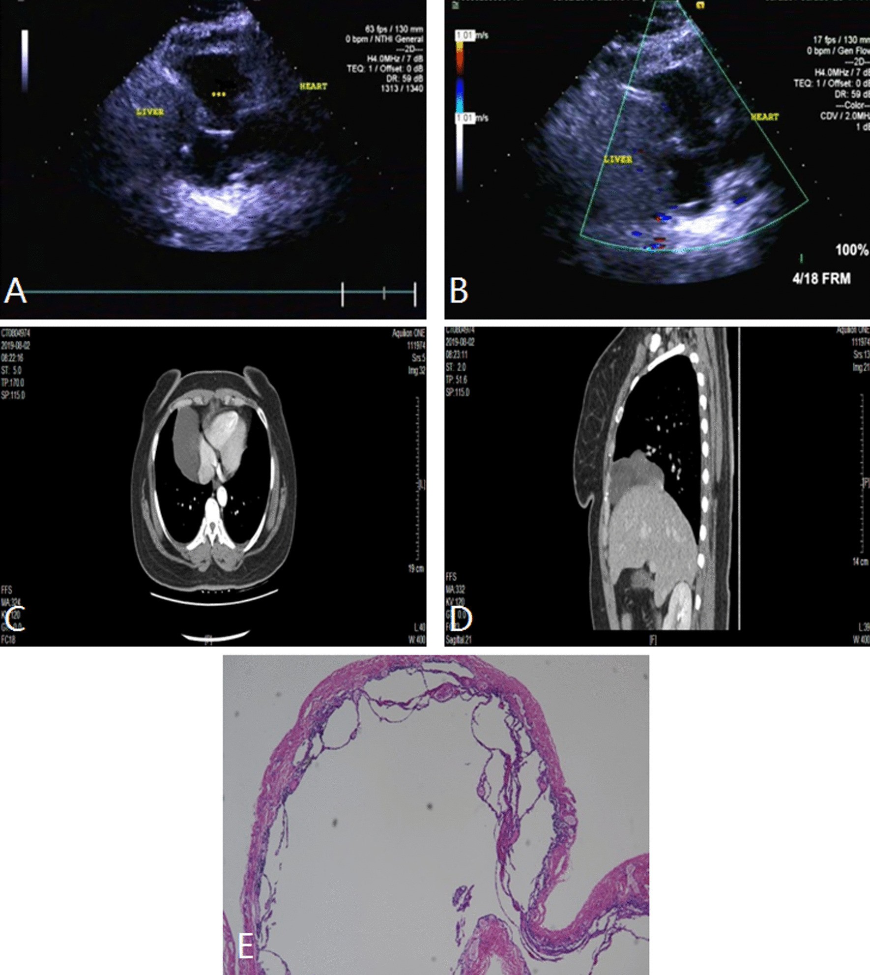 Fig. 4