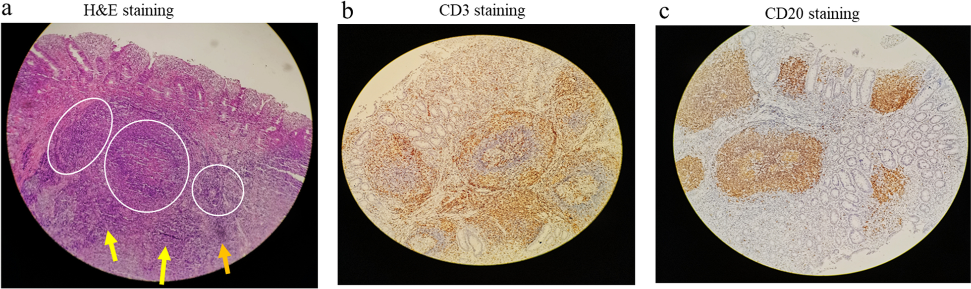 Fig. 4