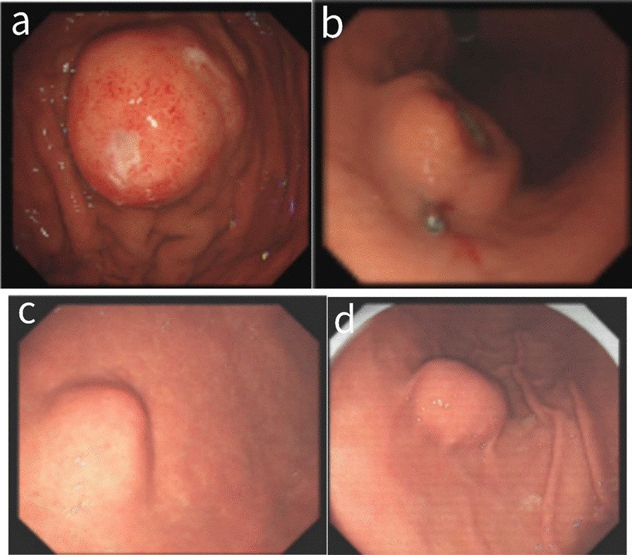 Fig. 3