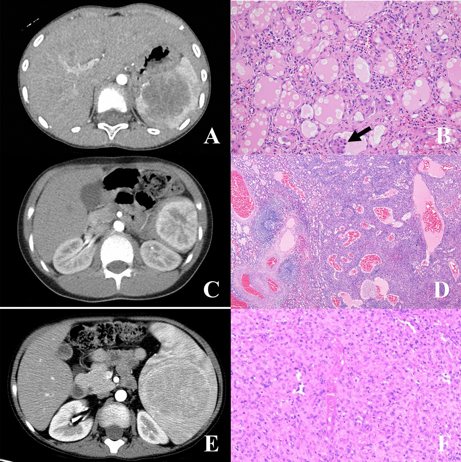 Fig. 3