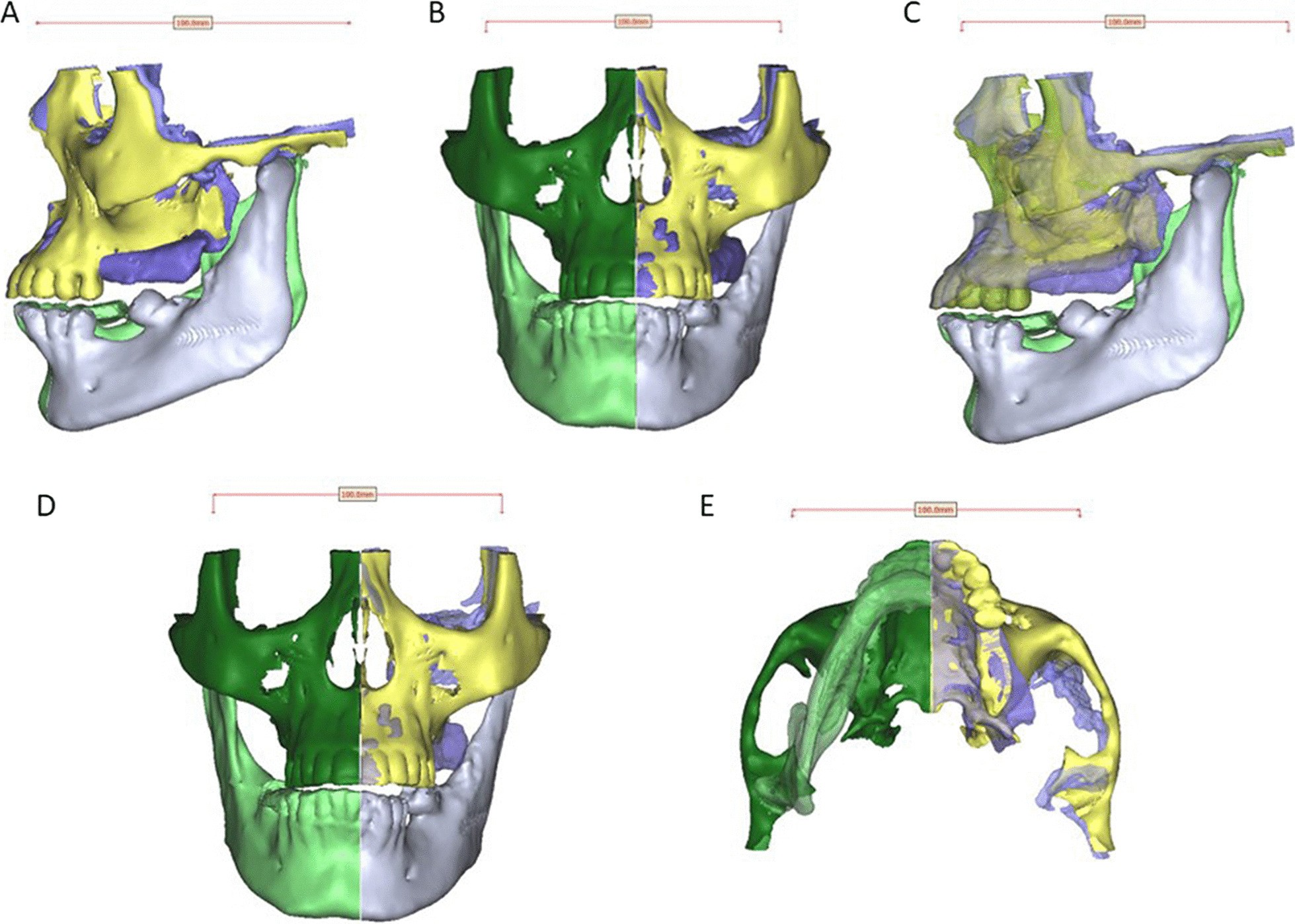 Fig. 8