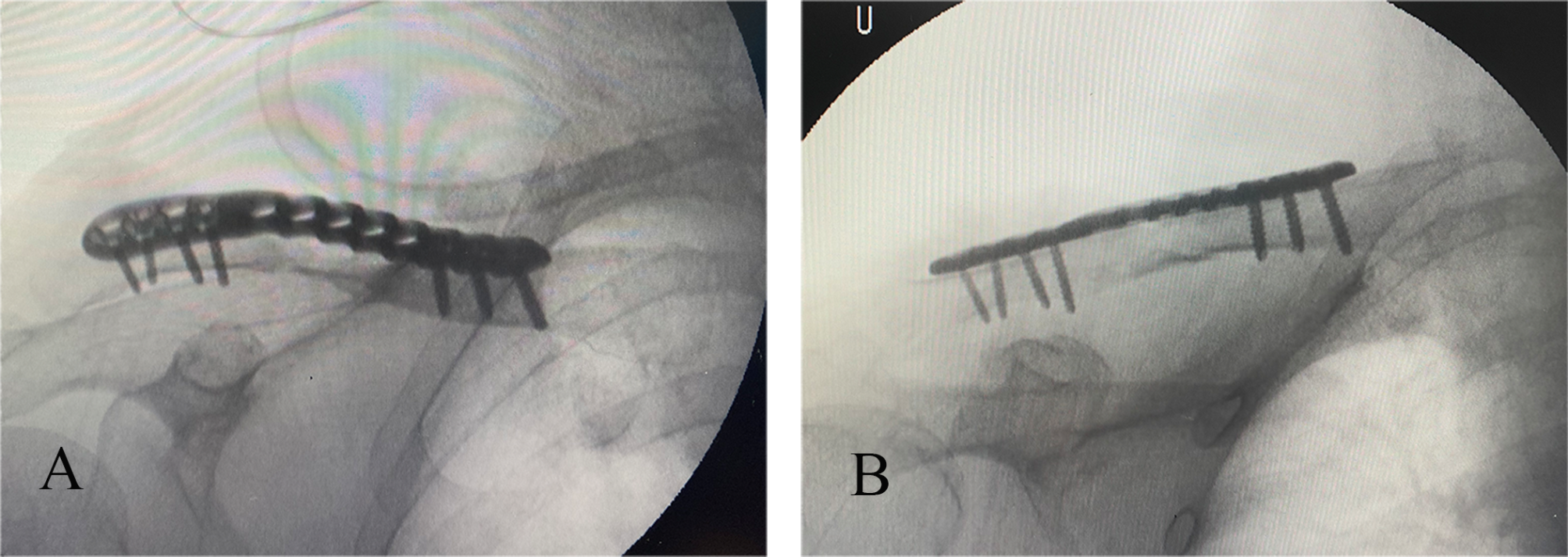 Fig. 6