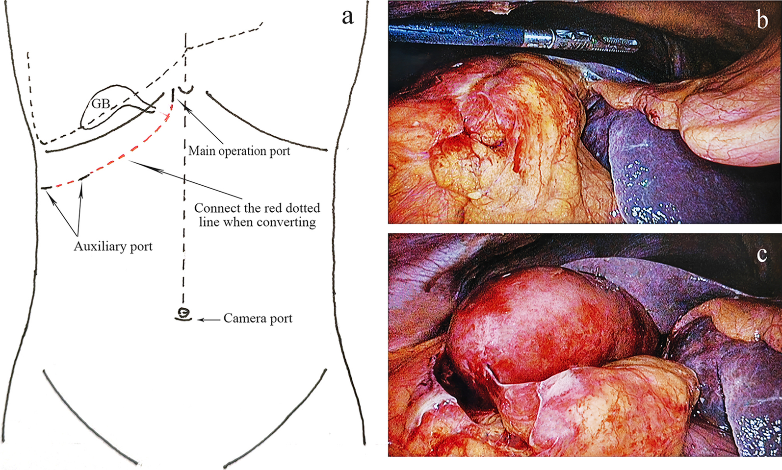 Fig. 1