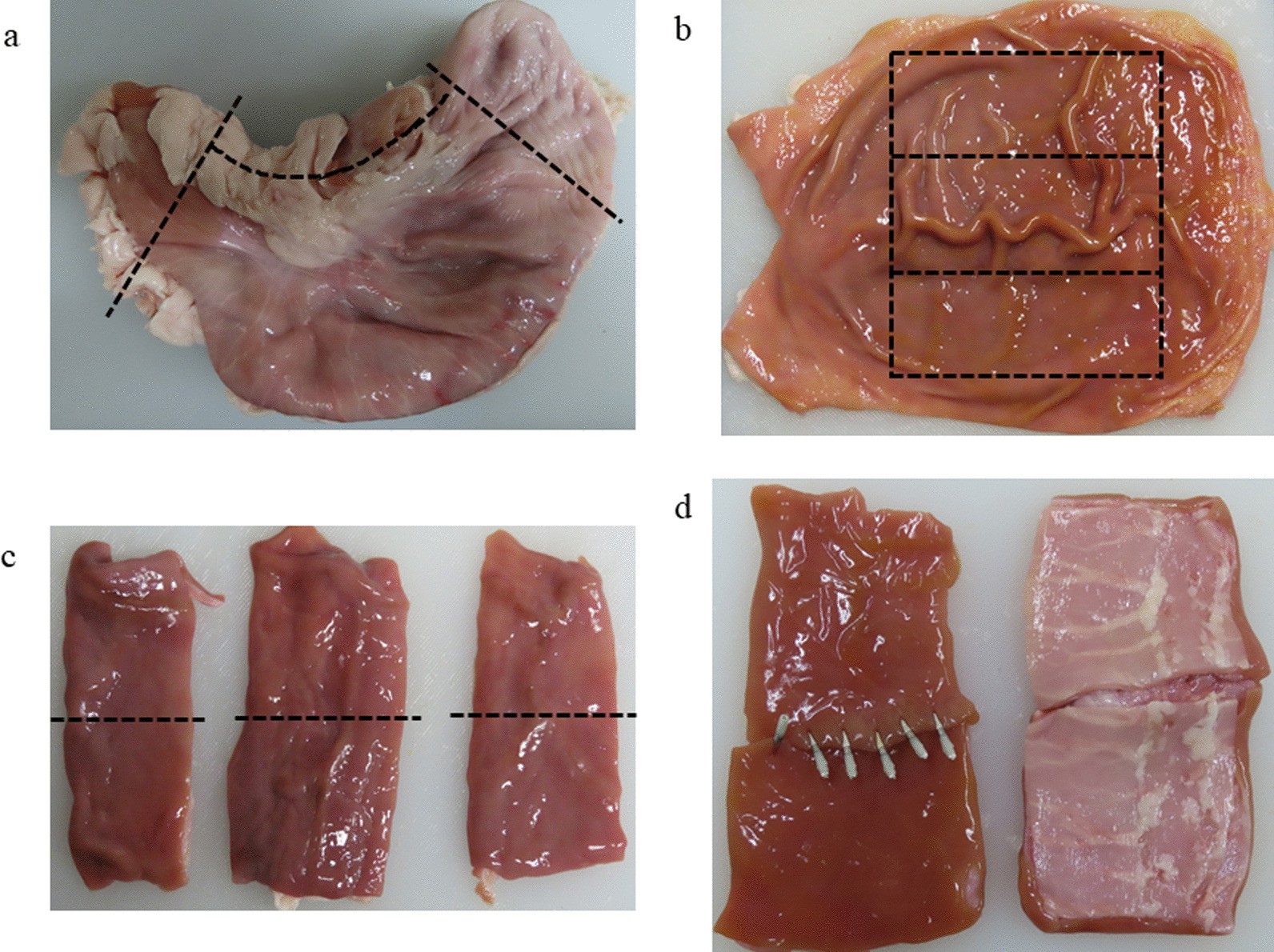 Fig. 1