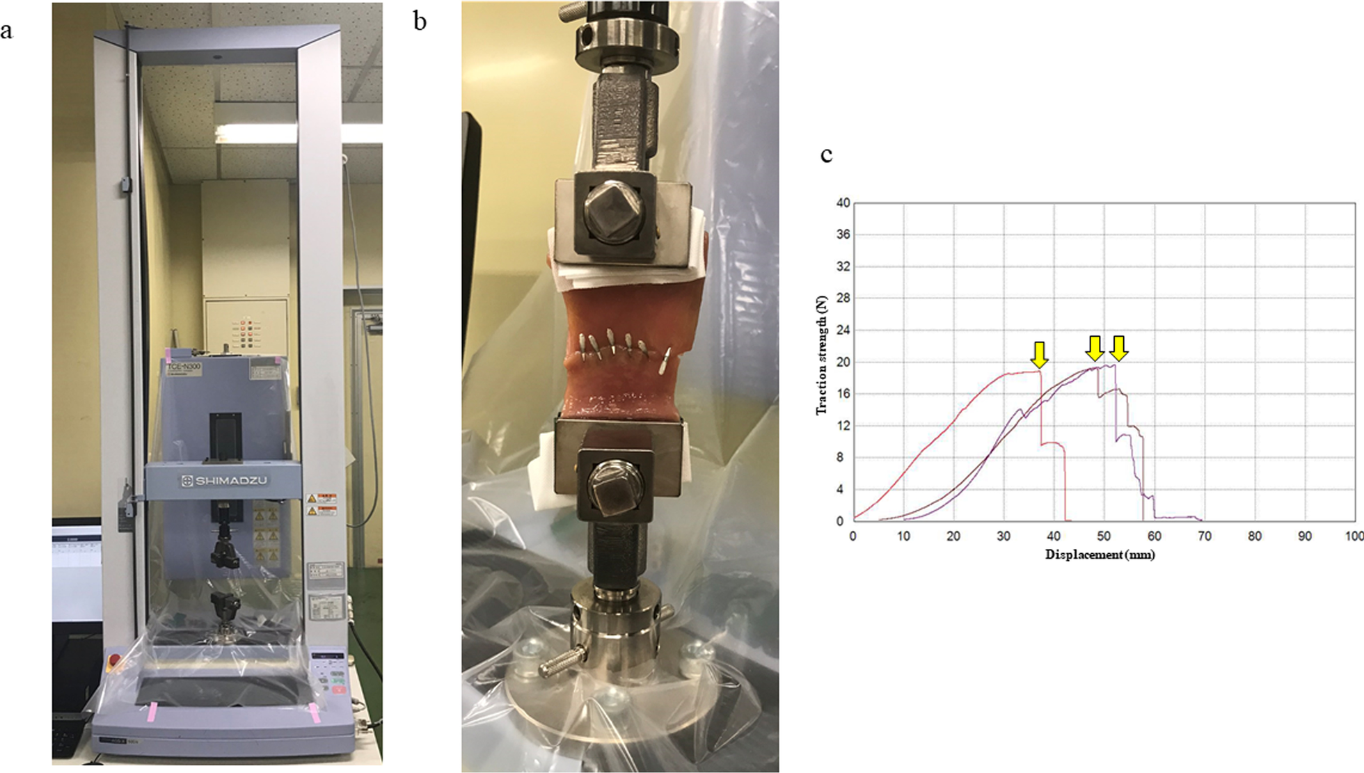 Fig. 3