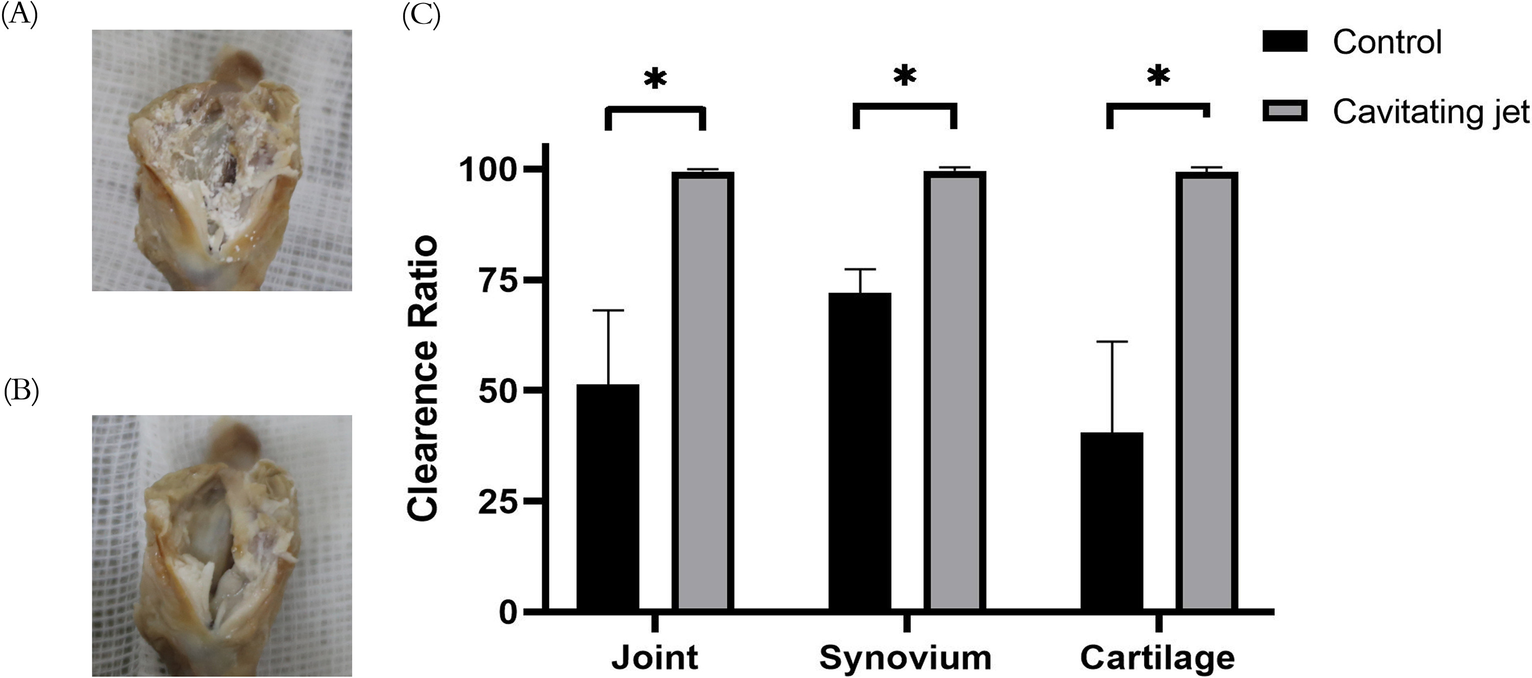 Fig. 7