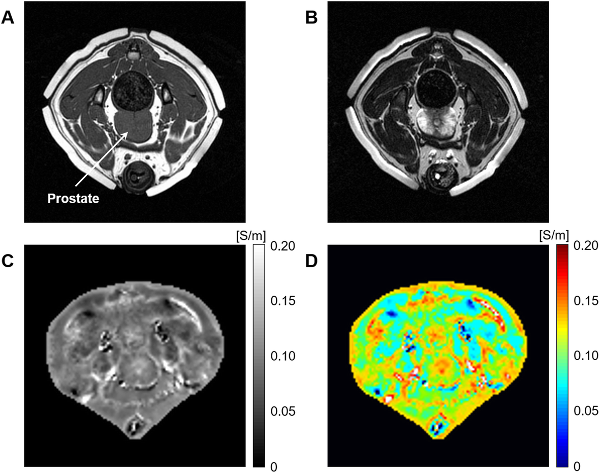 Fig. 2