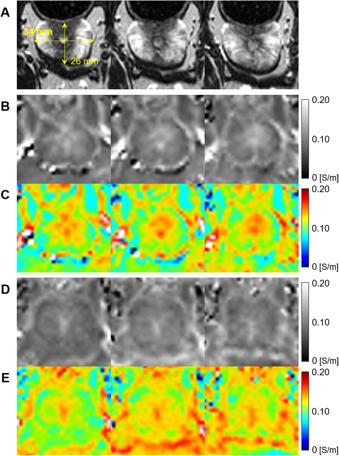 Fig. 3