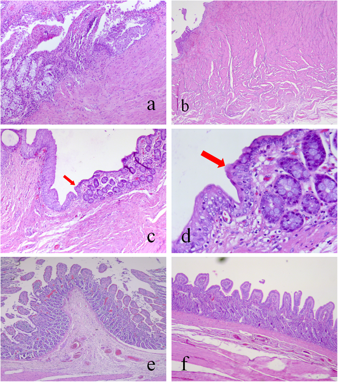 Fig. 5