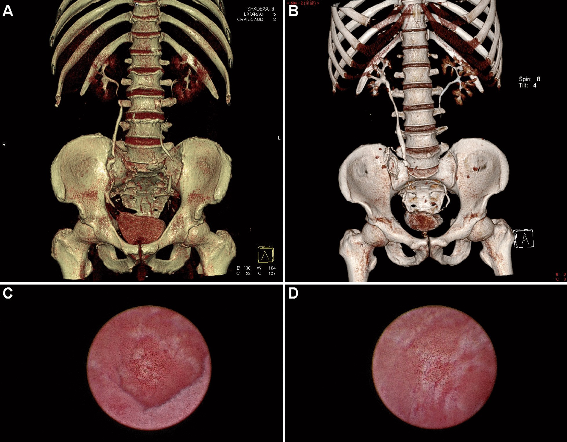 Fig. 4