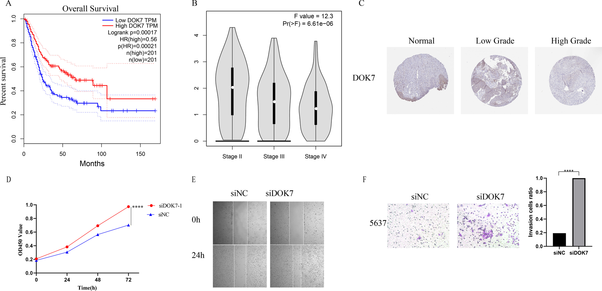 Fig. 10