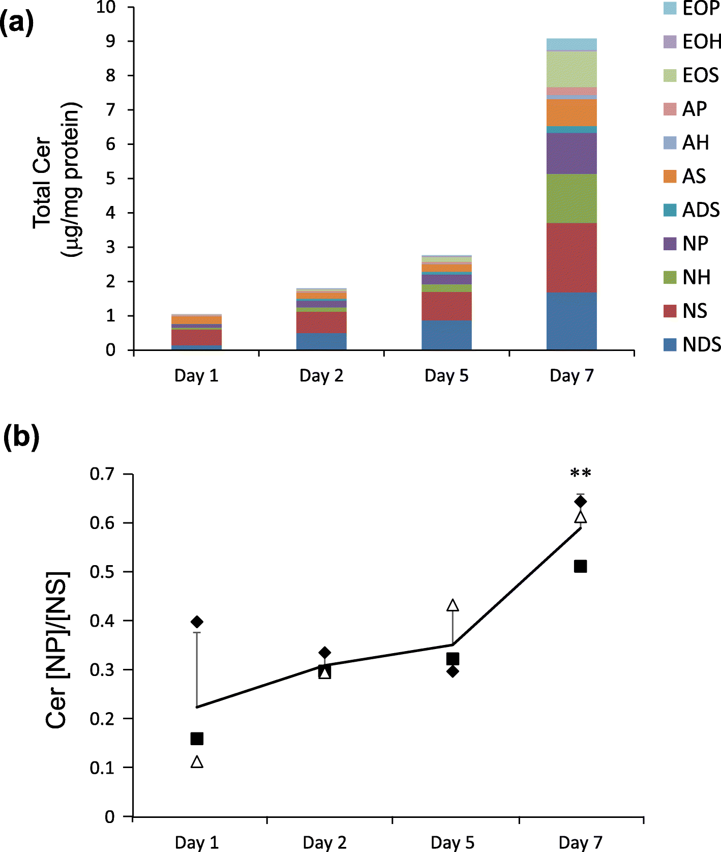 Fig. 5