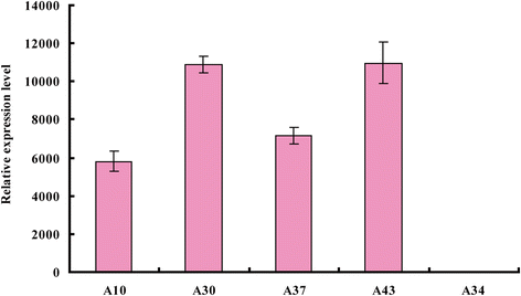 Fig. 5