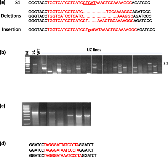 Fig. 5