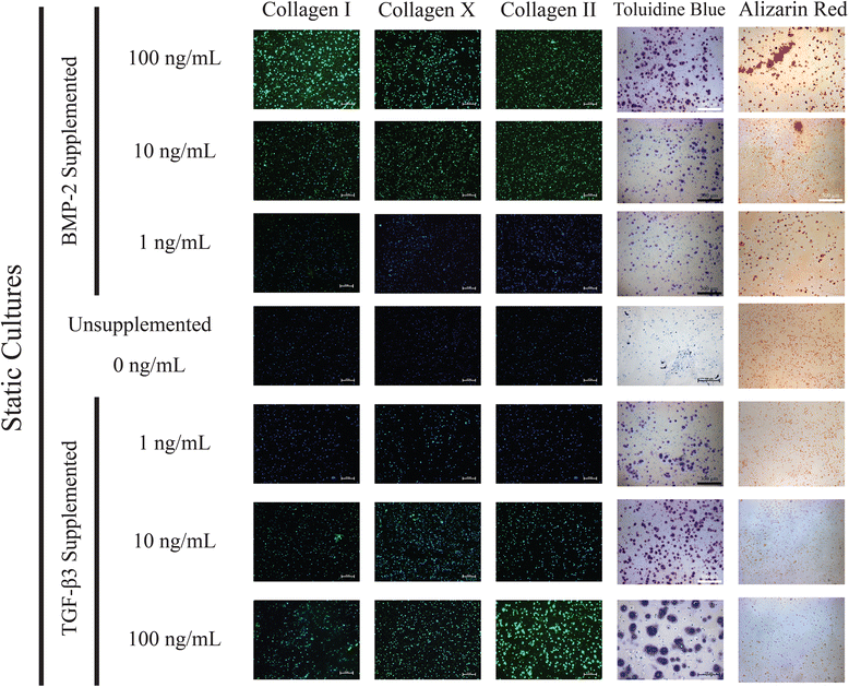 Fig. 12