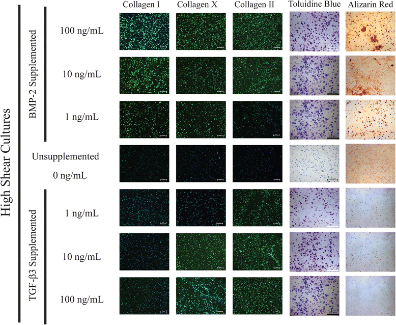 Fig. 14