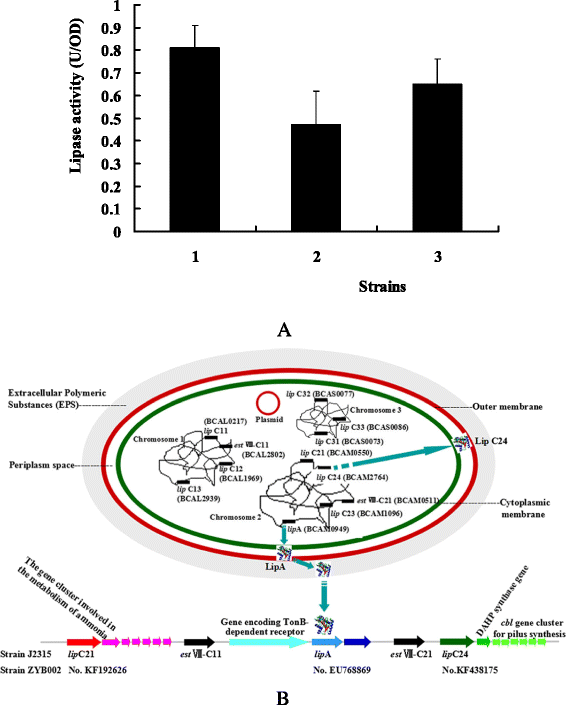 Fig. 8