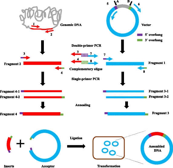 Fig. 1