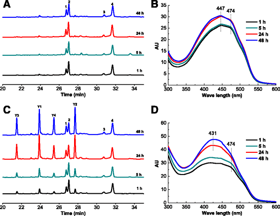 Fig. 7