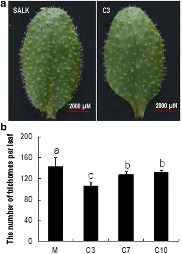 Fig. 8