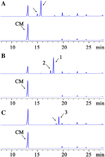 Fig. 3