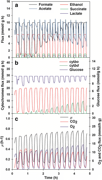 Fig. 5