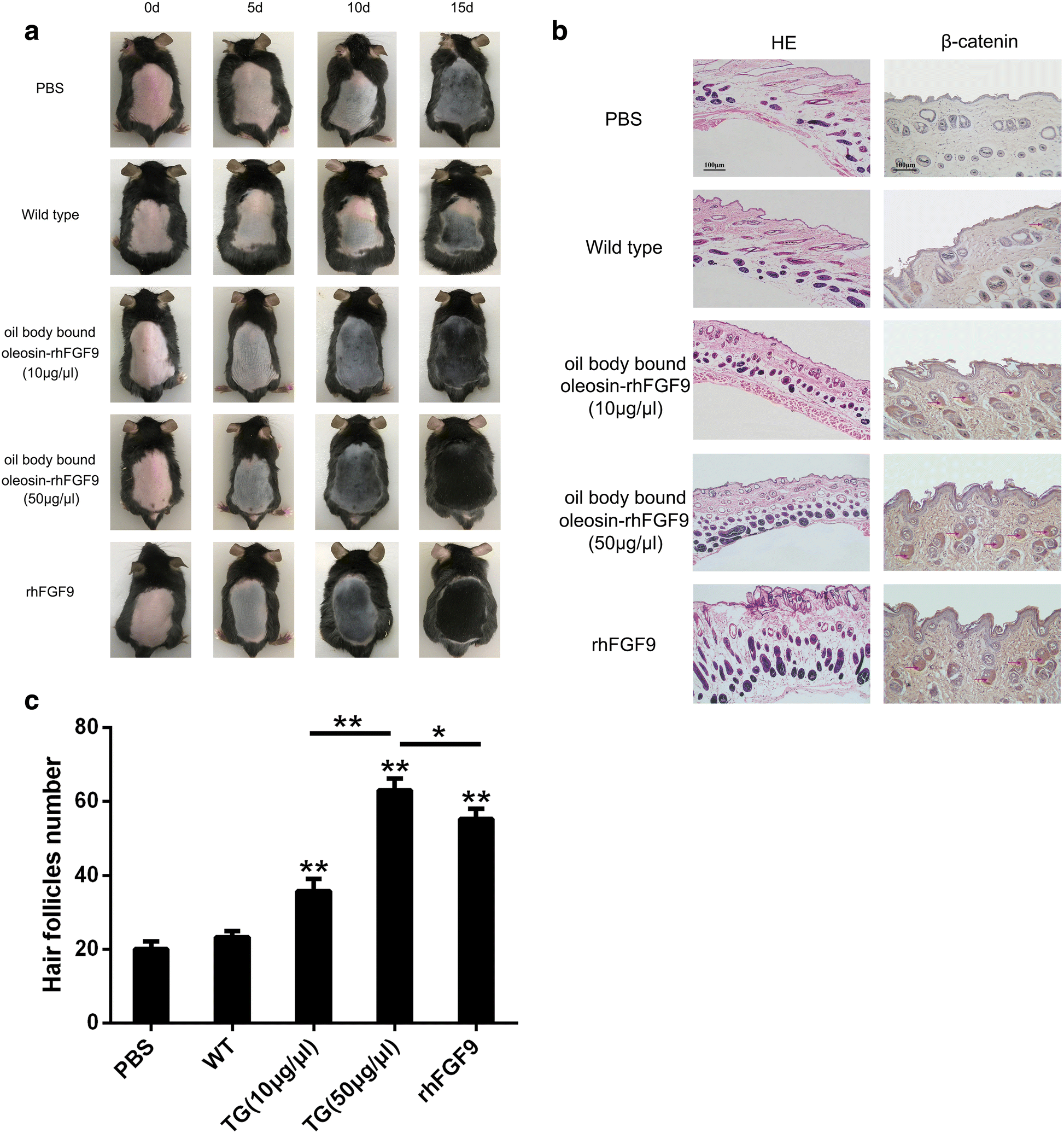 Fig. 5