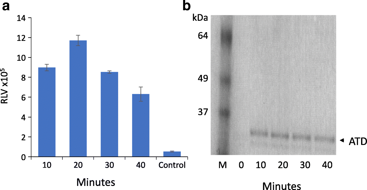 Fig. 5