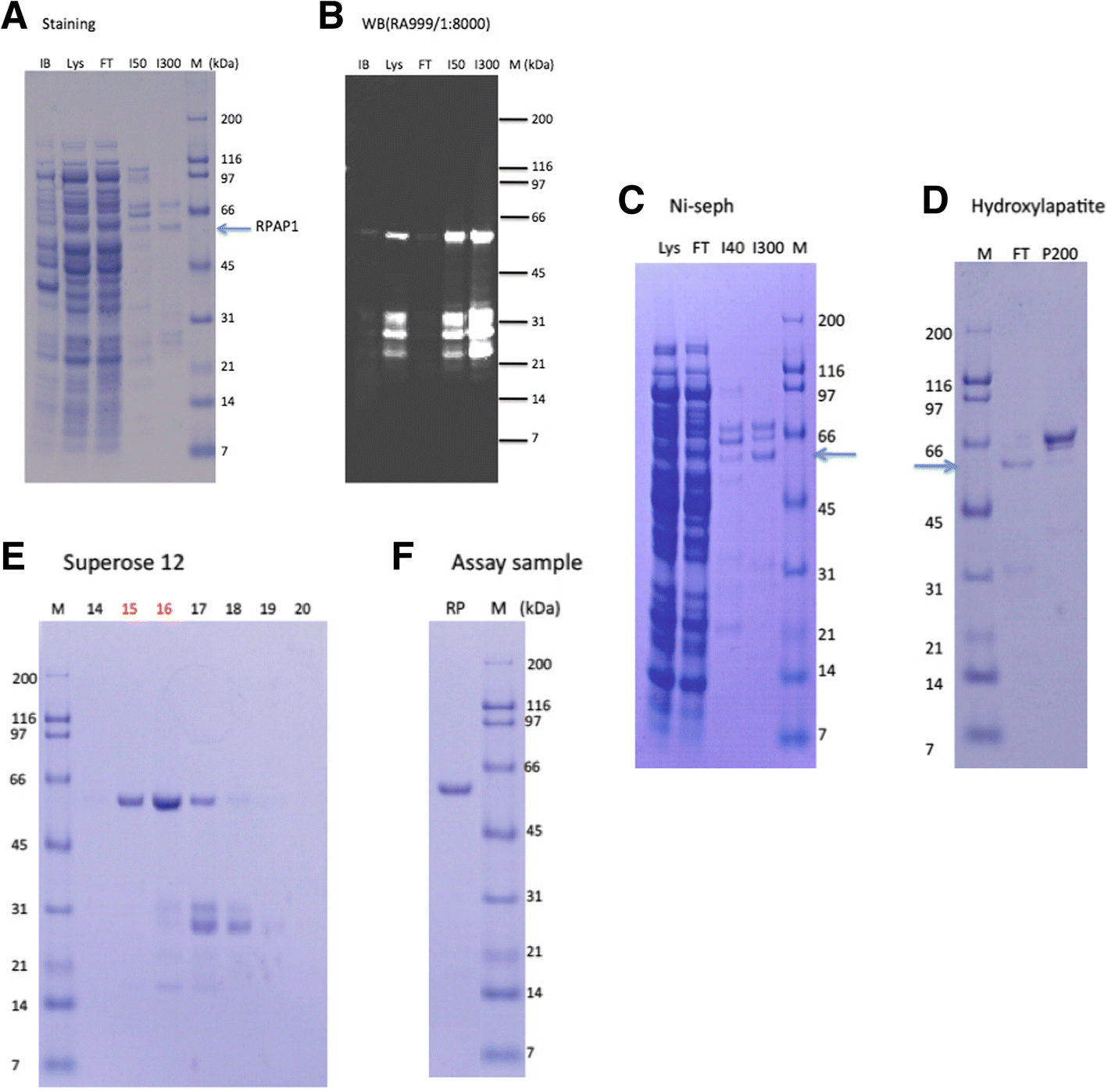 Fig. 5