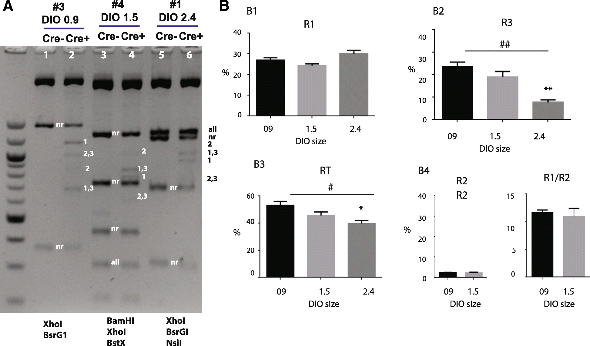 Fig. 5