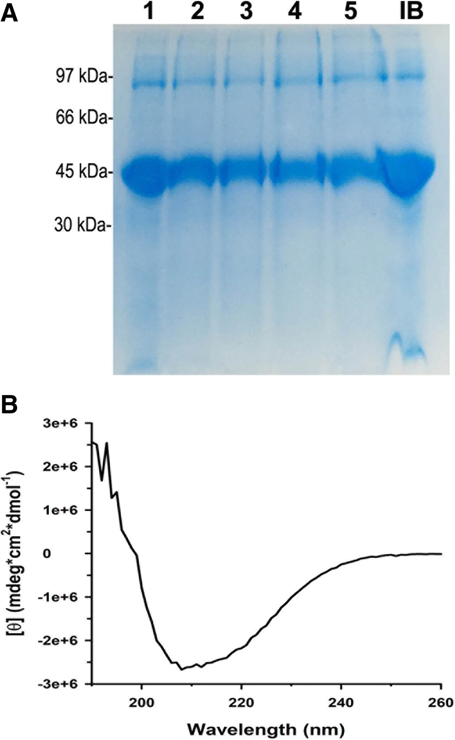 Fig. 6