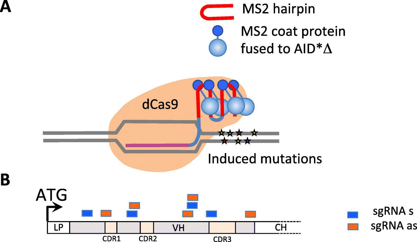 Fig. 2