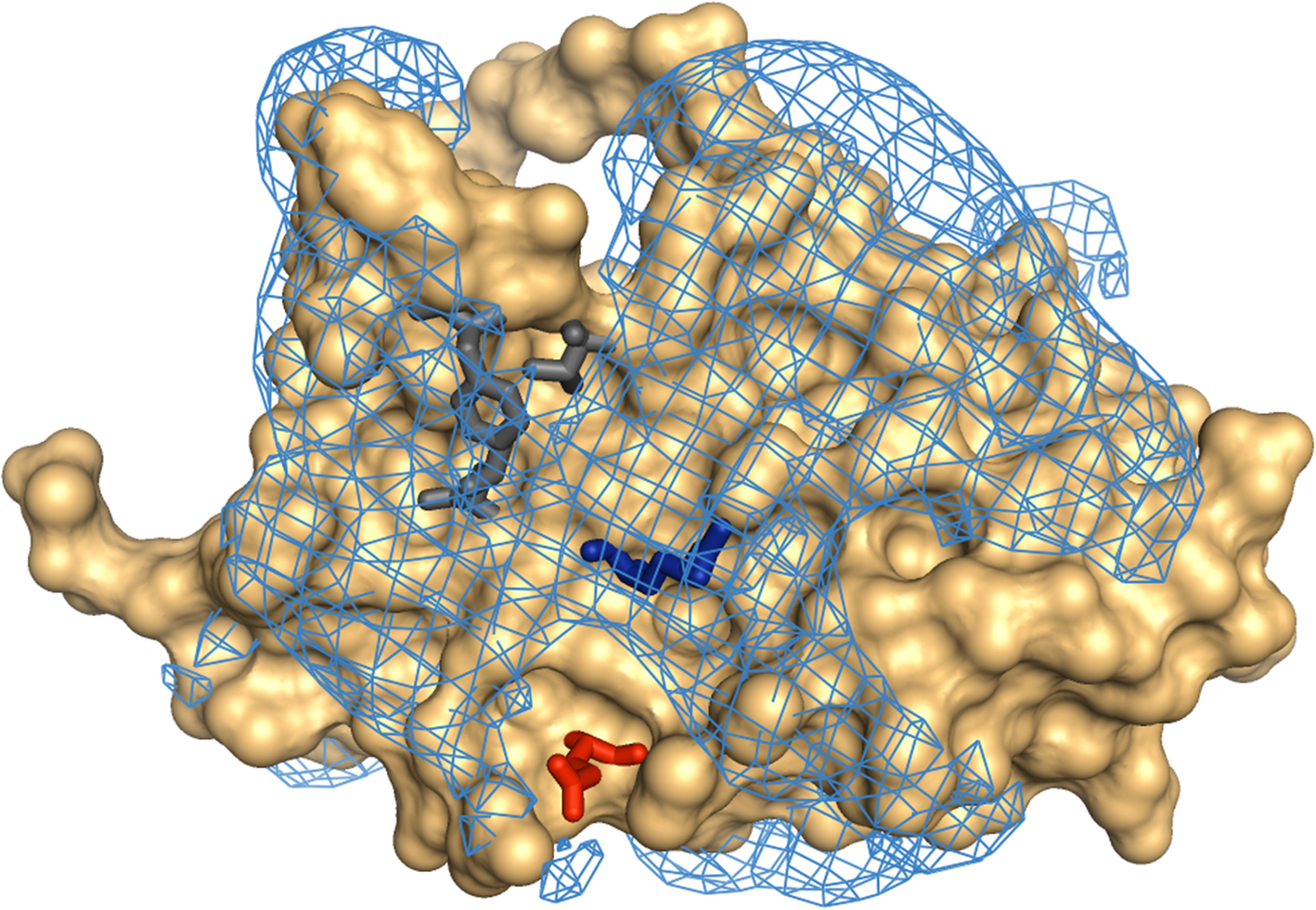 Fig. 3