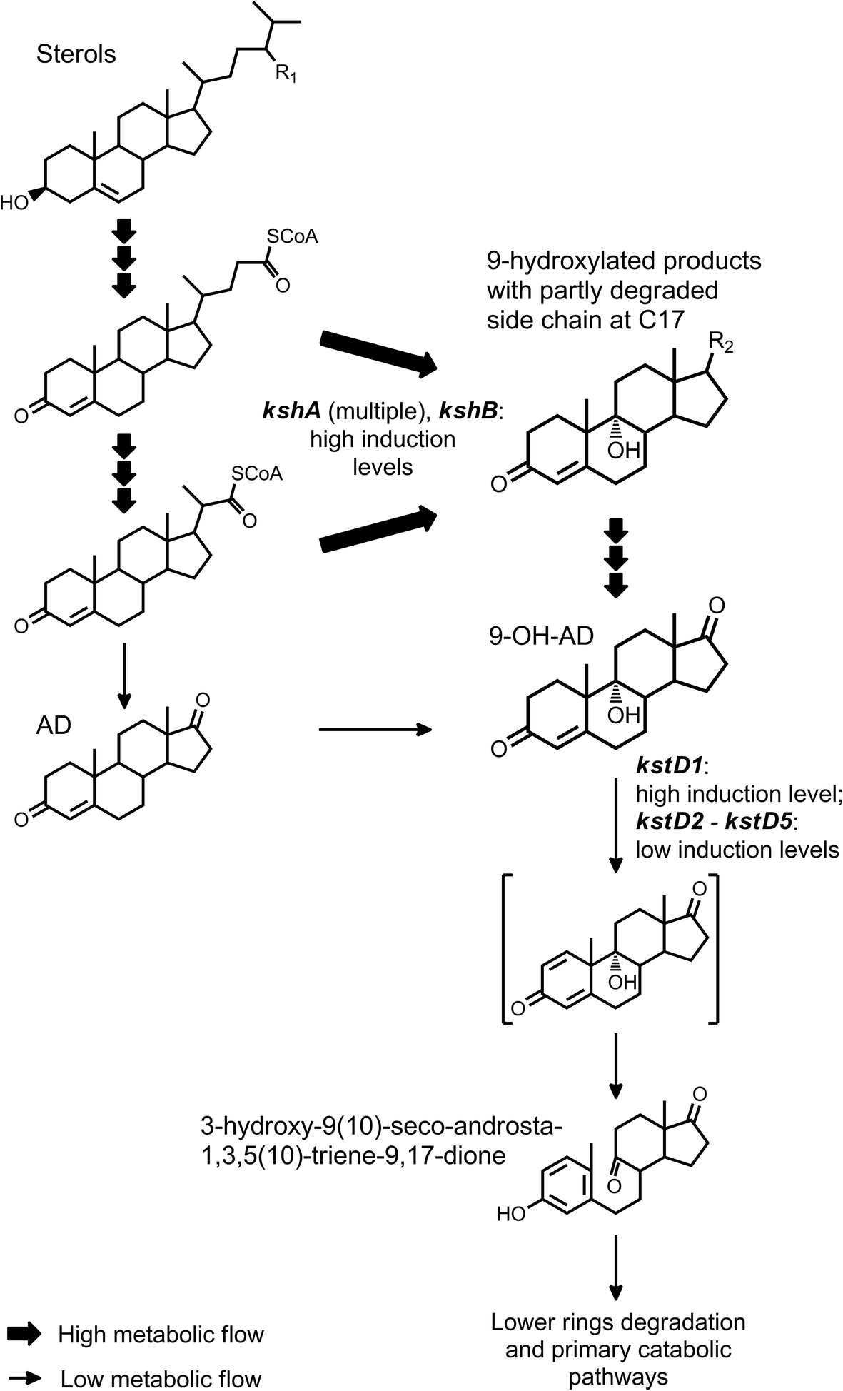 Fig. 7