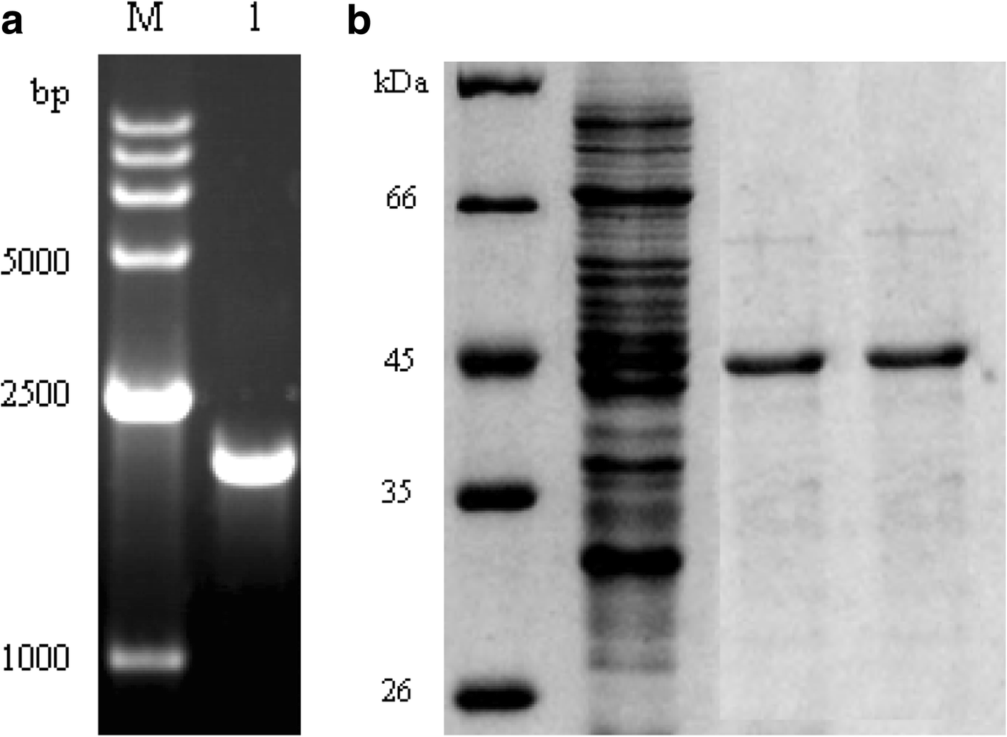 Fig. 9