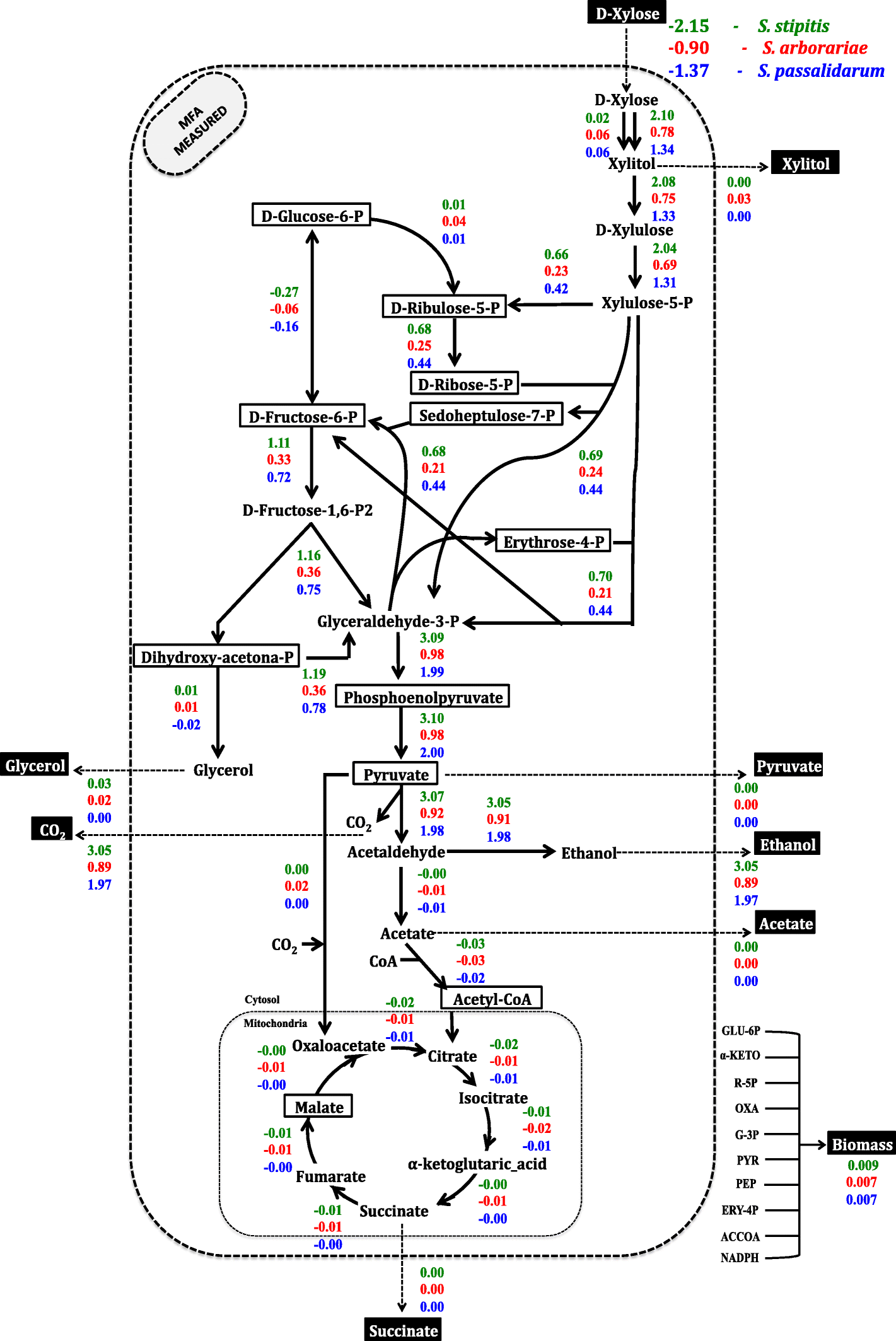 Fig. 5