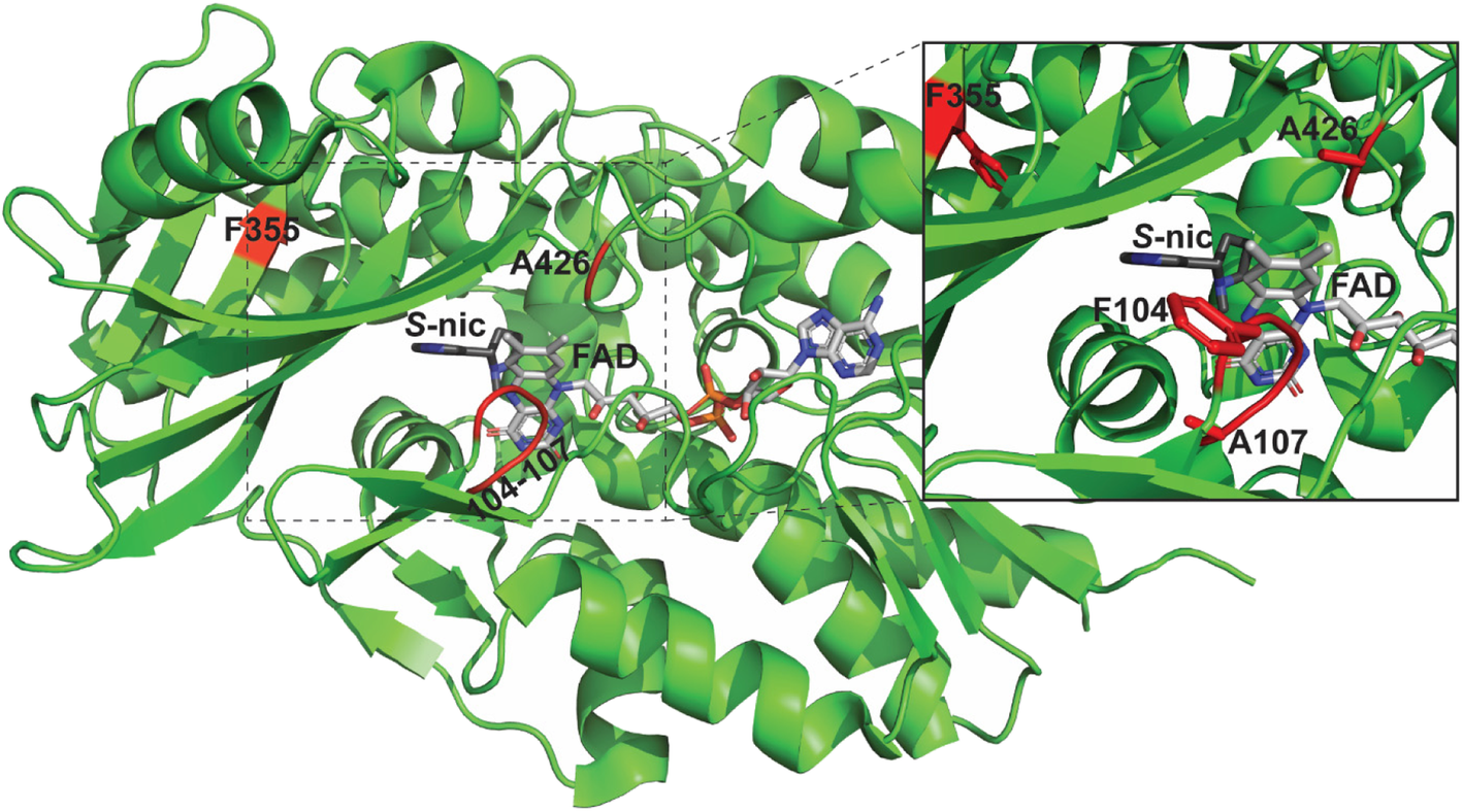 Fig. 6