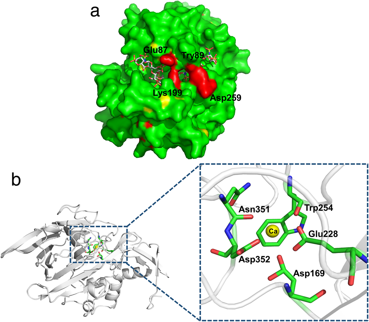 Fig. 4