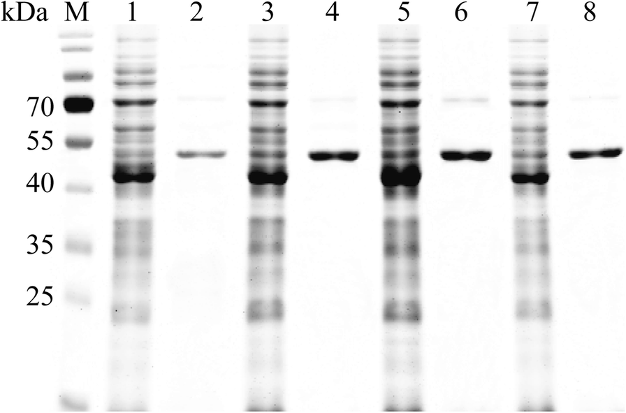 Fig. 5