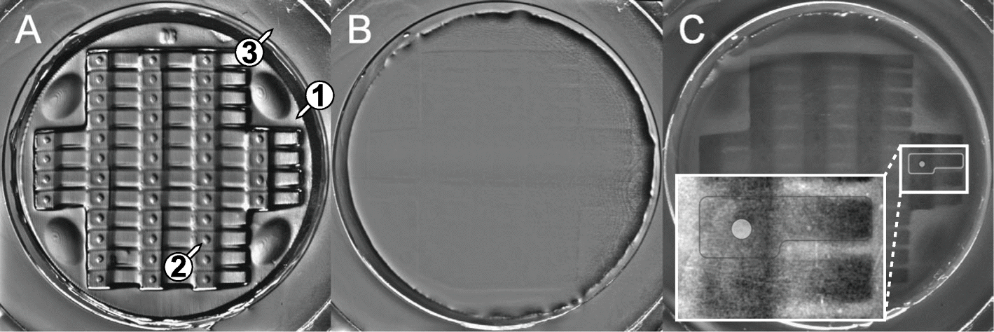 Fig. 4