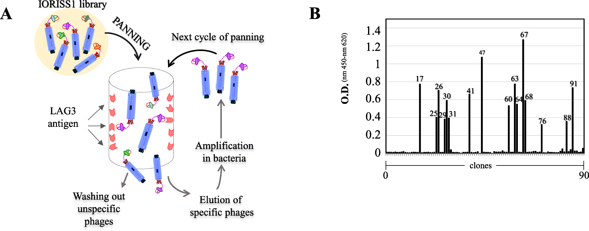 Fig. 1