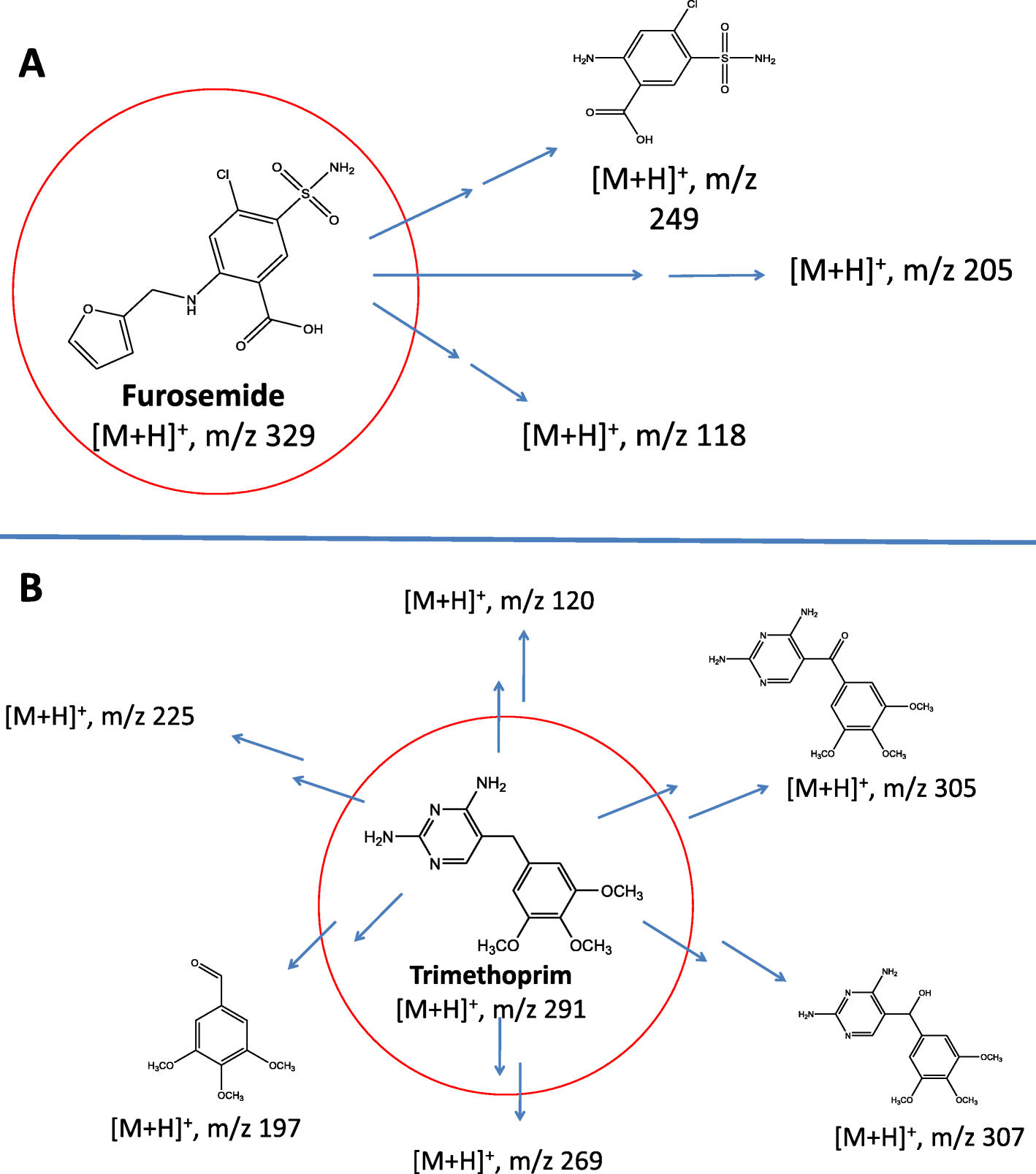 Fig. 9