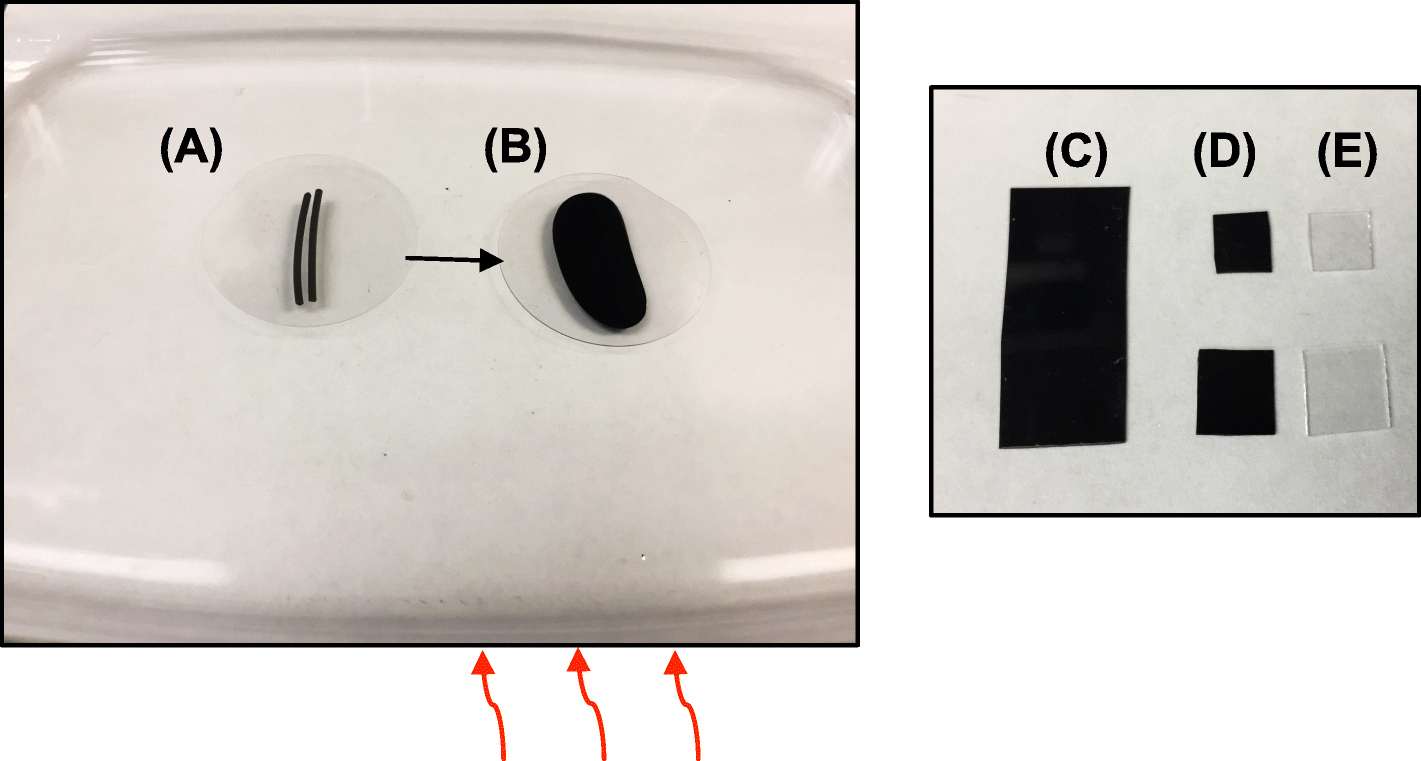 Fig. 4