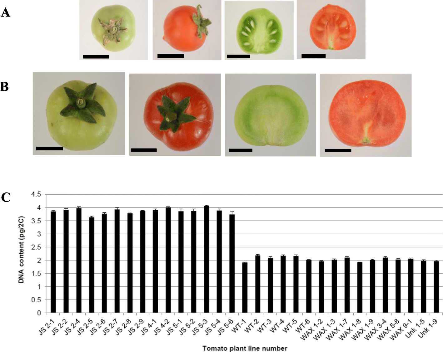 Fig. 5