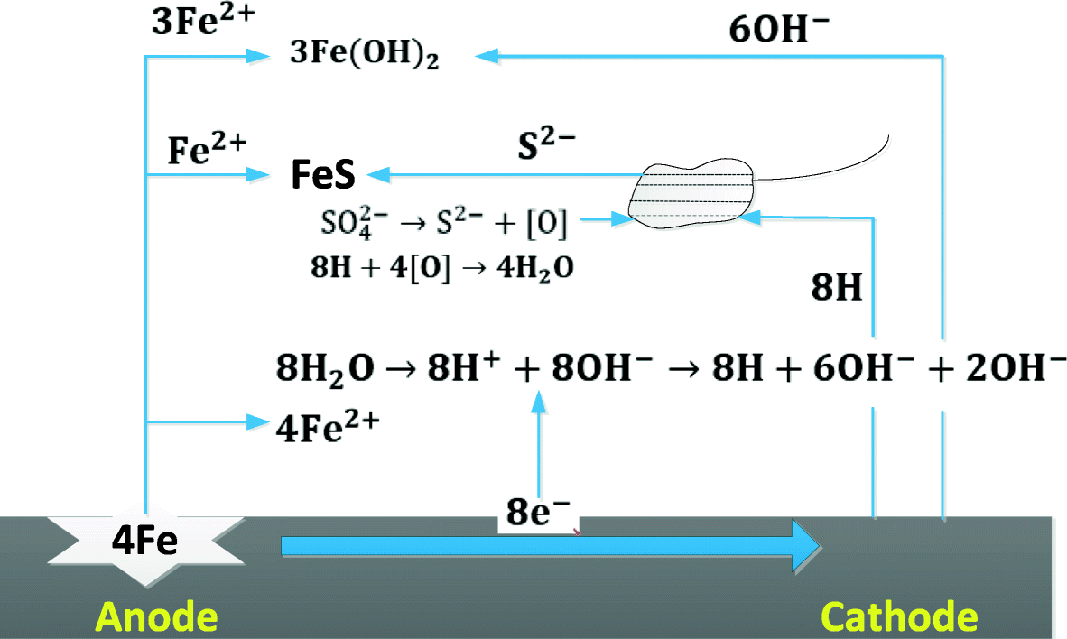 Fig. 11