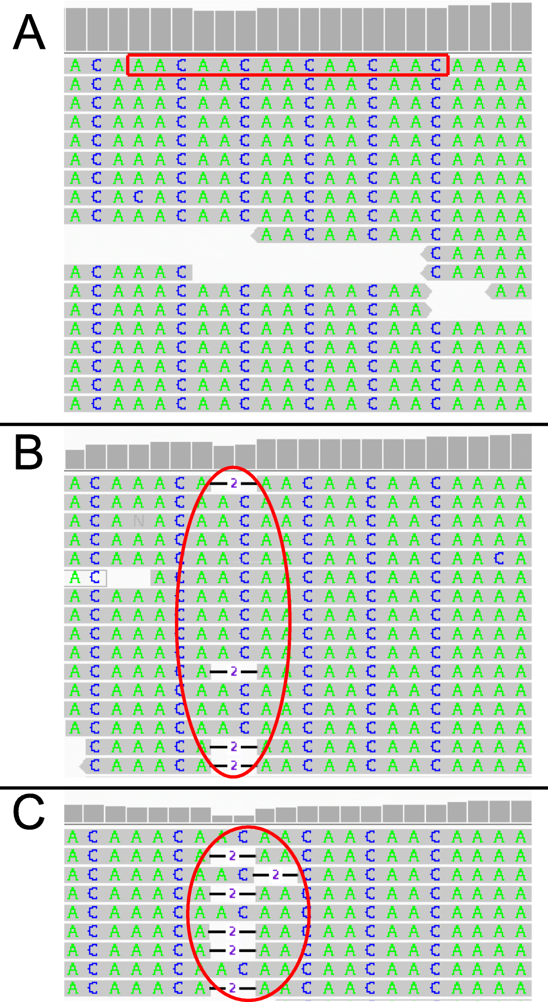 Fig. 5