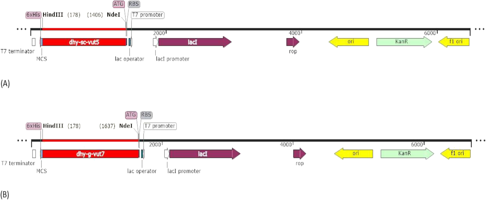 Fig. 9