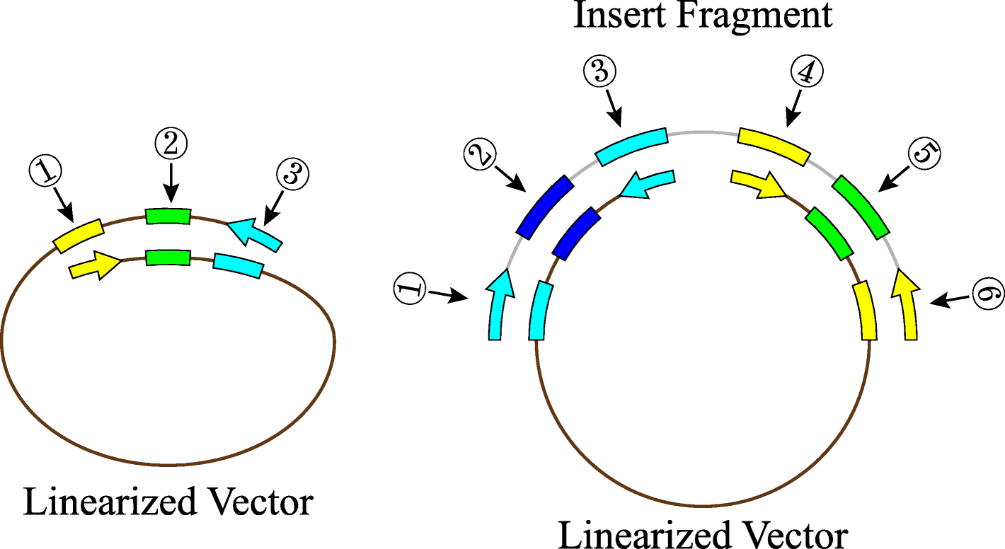 Fig. 9