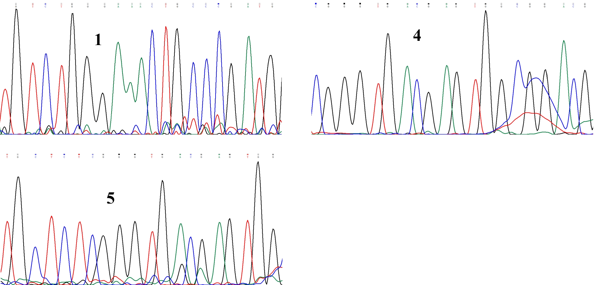 Fig. 12