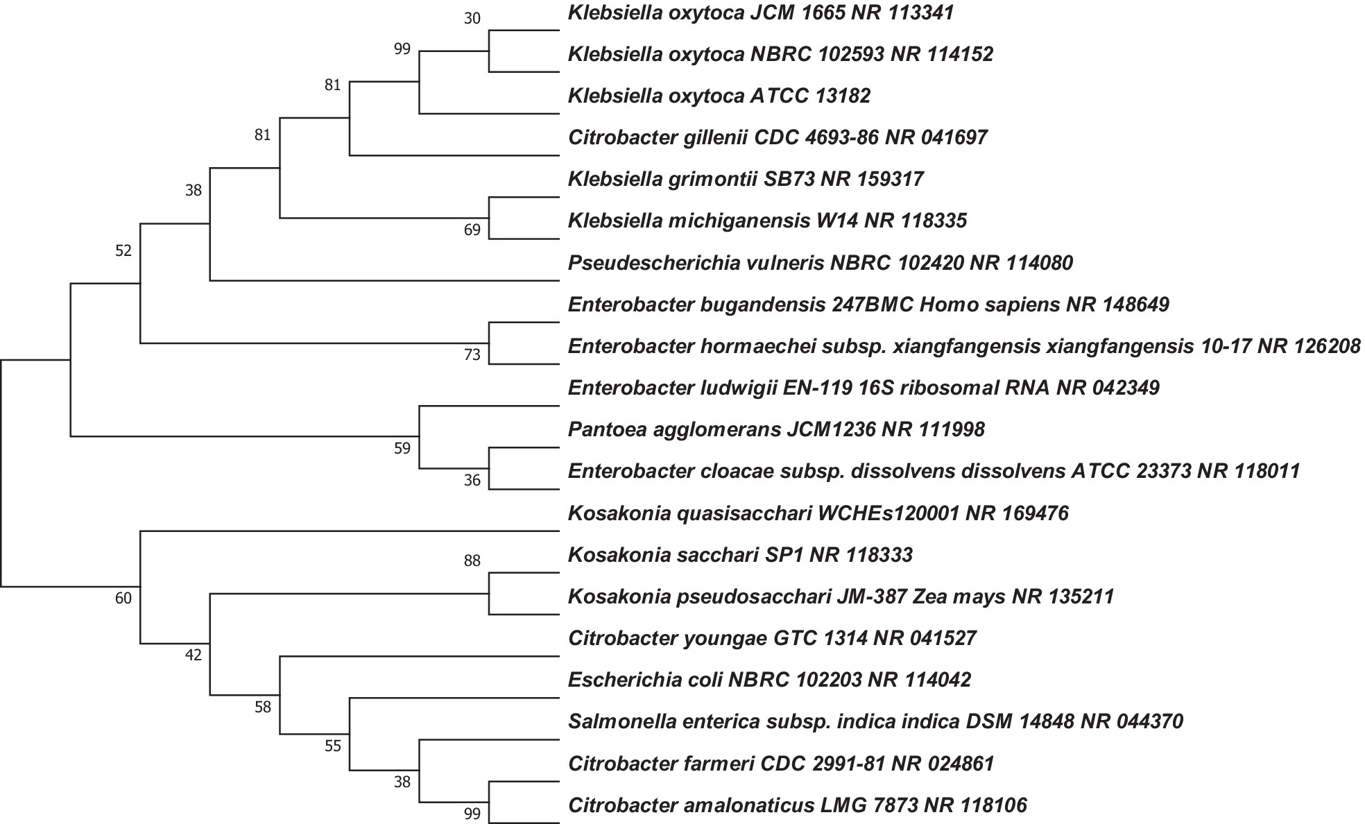 Fig. 13